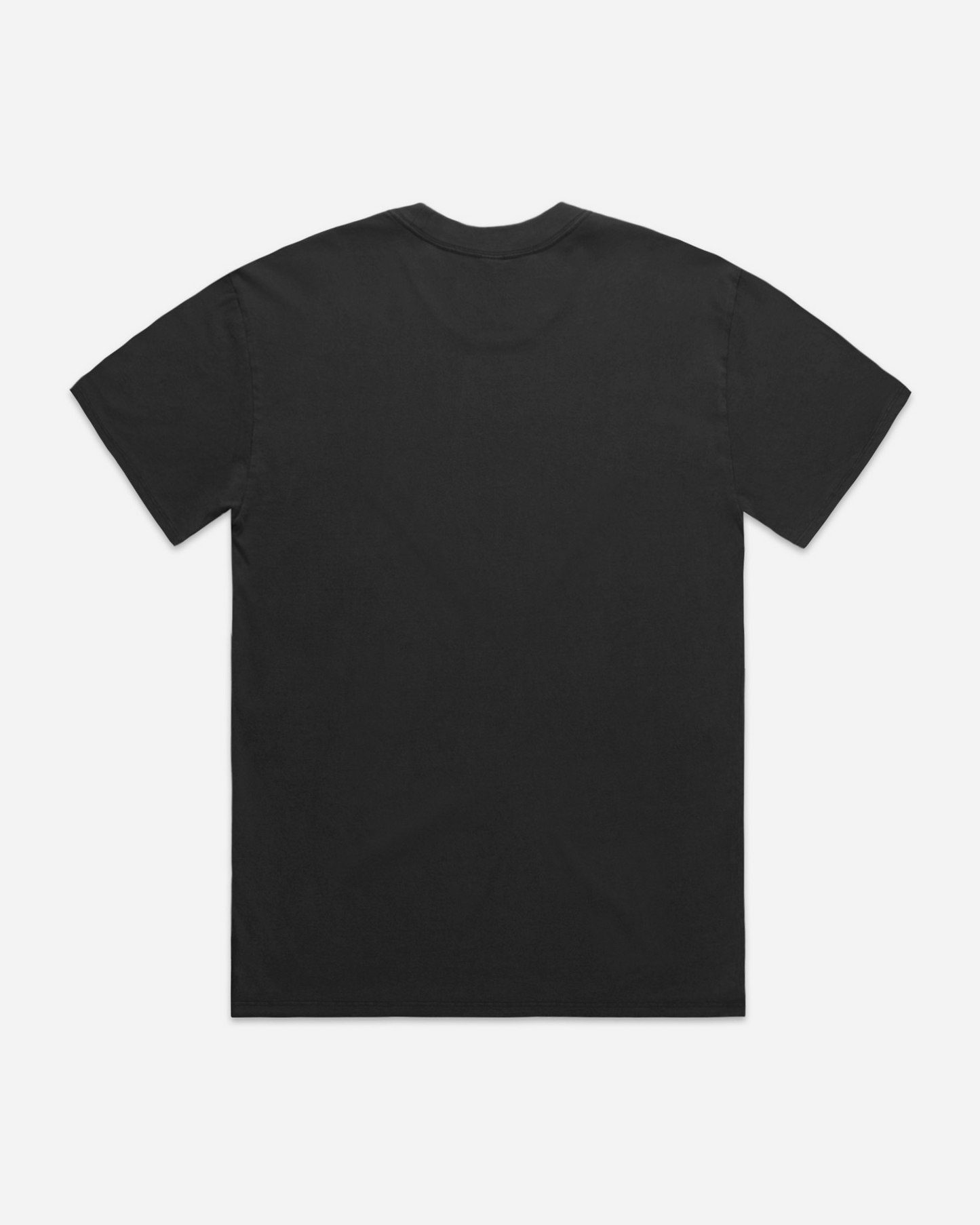 ASC Heavy Faded T-Shirt